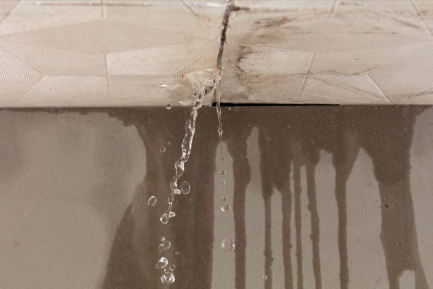 Professional Water Damage Repair technician working in Sandown, NH
